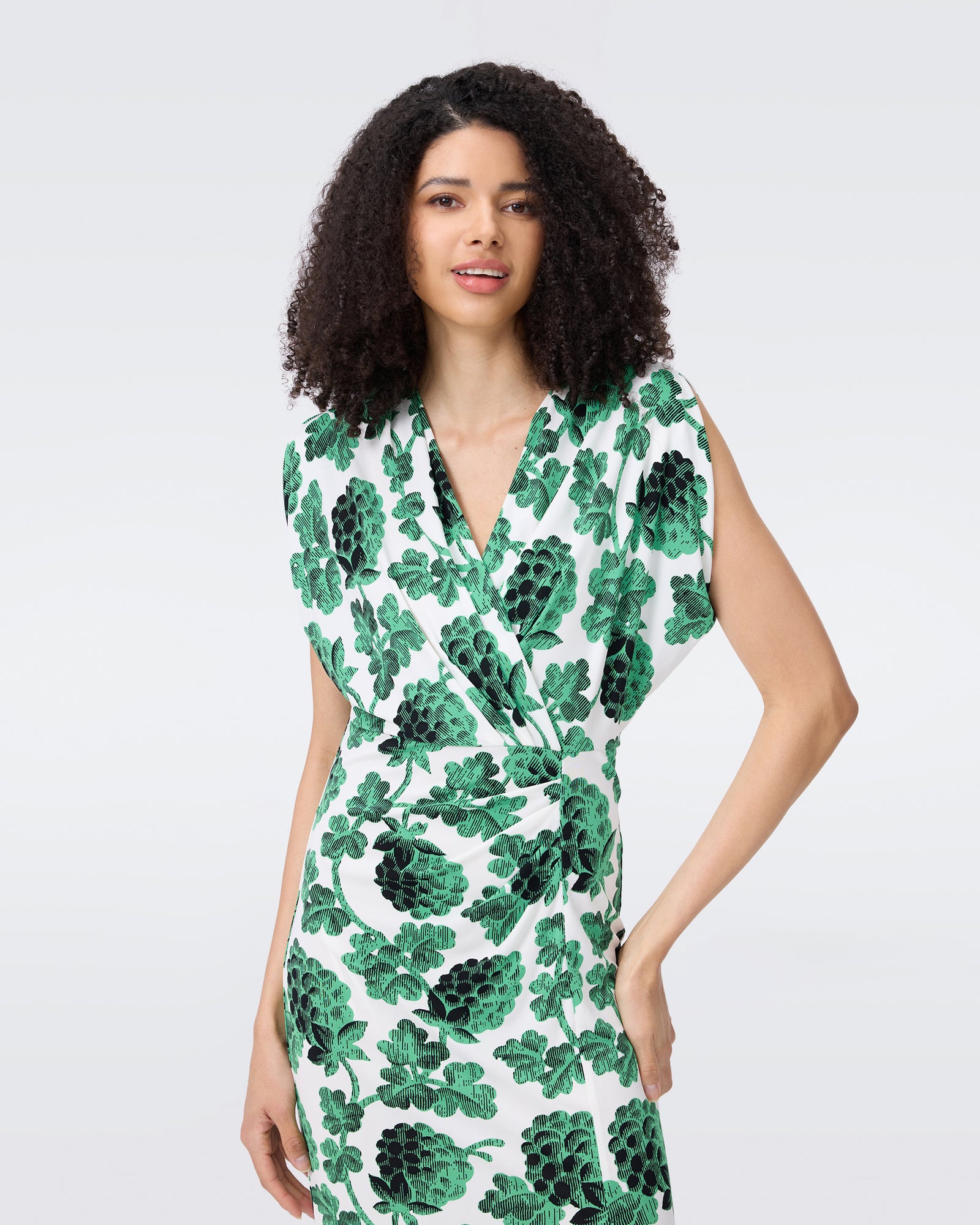 DVF WILLIAMS DRESS
