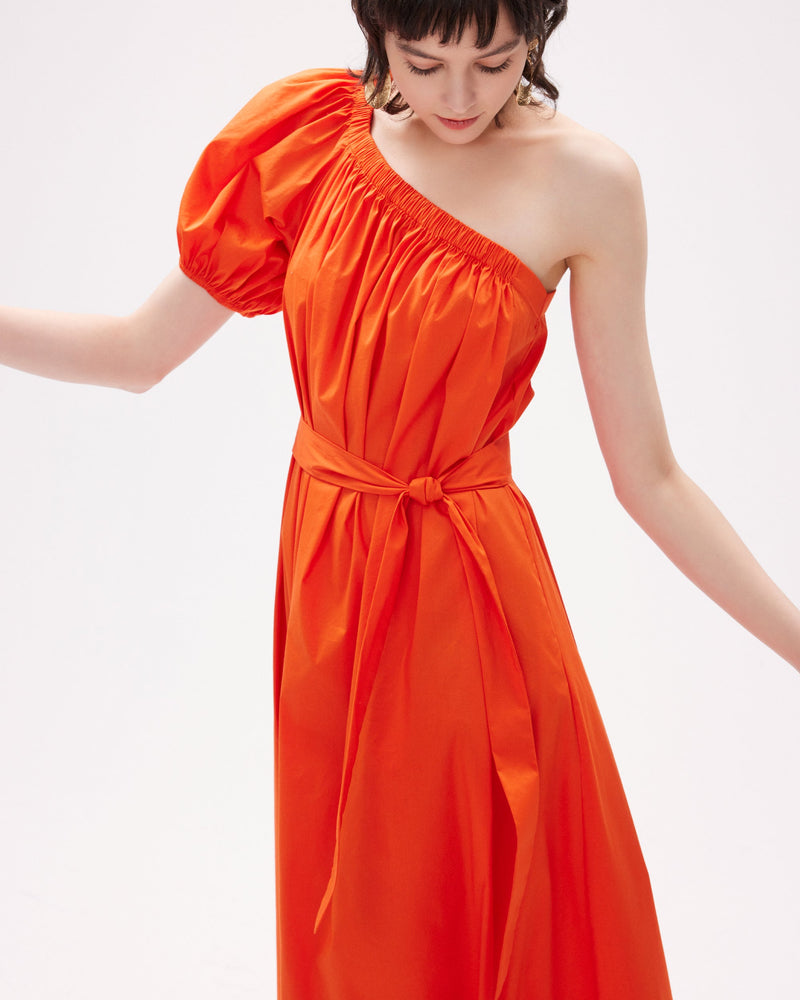 dvf pasquale dress in burnout orange